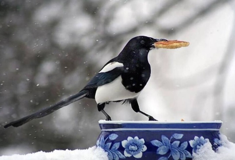 Country Sunshine Bed And Breakfast