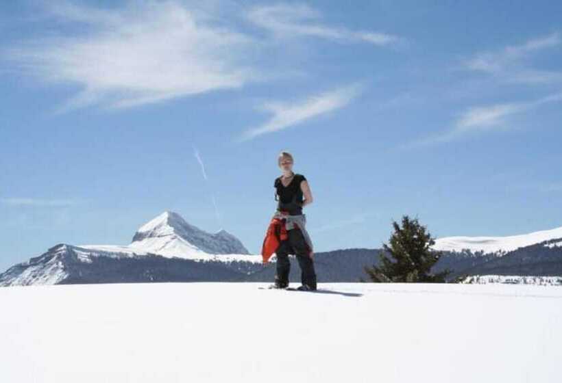 Country Sunshine Bed And Breakfast