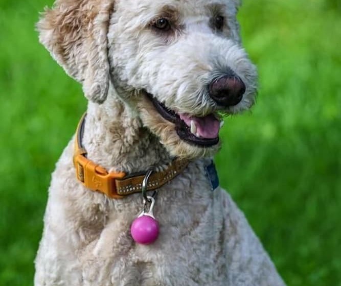 Country Sunshine Bed And Breakfast