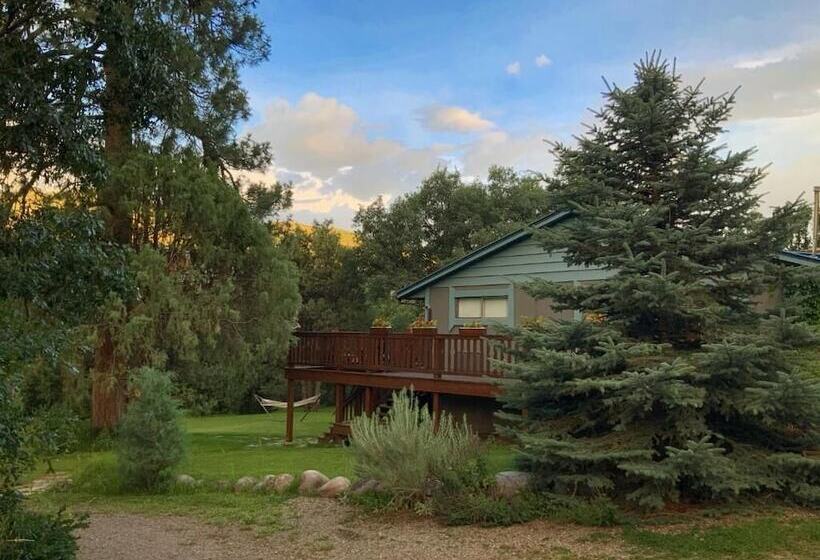 Country Sunshine Bed And Breakfast