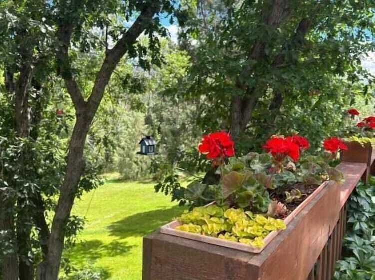 Country Sunshine Bed And Breakfast