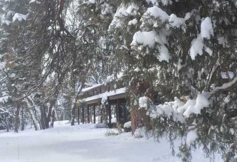 Country Sunshine Bed And Breakfast