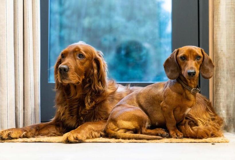 Hotel Appletree A Newly Converted Luxury Barn In Warwickshire On Our Farm
