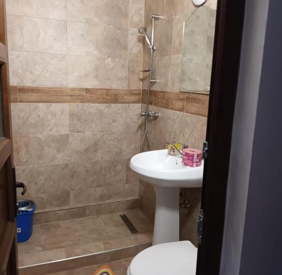 ペンション Casa Peneșel