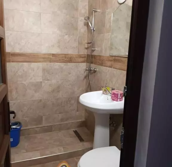 ペンション Casa Peneșel