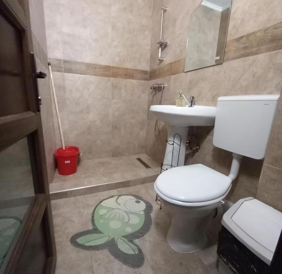 ペンション Casa Peneșel