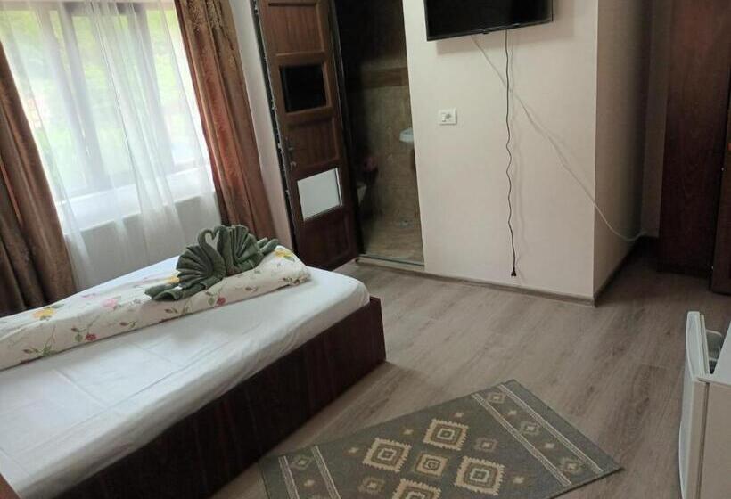 ペンション Casa Peneșel