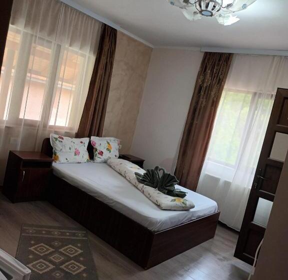 ペンション Casa Peneșel