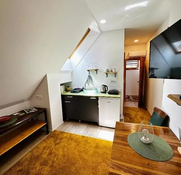 تختخواب و صبحانه Slovenian House Vida