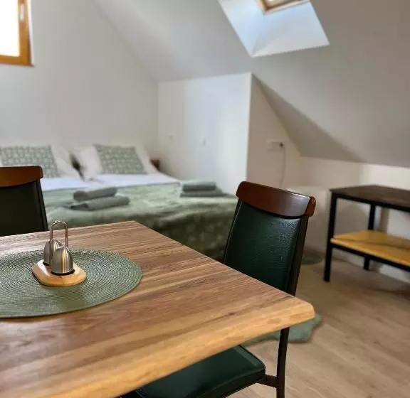 تختخواب و صبحانه Slovenian House Vida