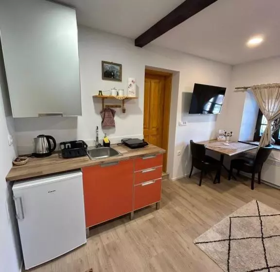 تختخواب و صبحانه Slovenian House Vida