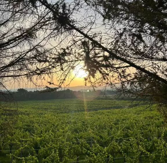 ホテル Cruna Di Subida Wine Country House