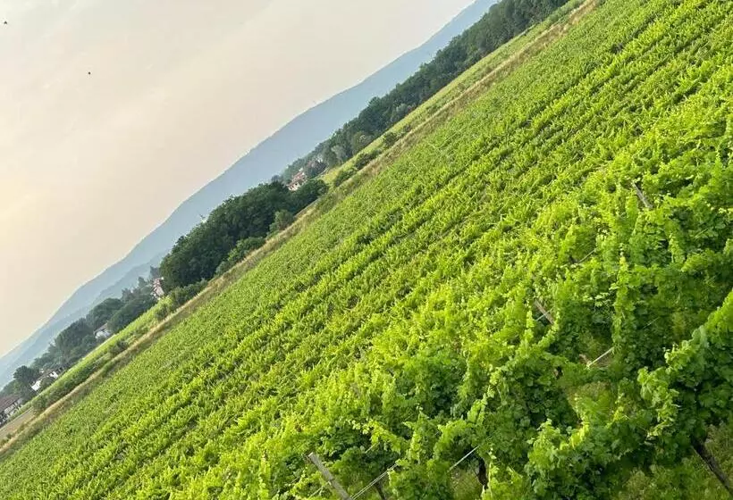ホテル Cruna Di Subida Wine Country House