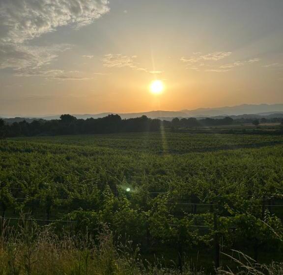 בית מלון כפרי Cruna Di Subida Wine Country House