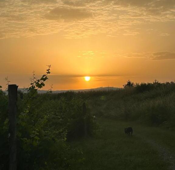 בית מלון כפרי Cruna Di Subida Wine Country House