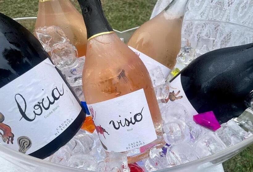 בית מלון כפרי Cruna Di Subida Wine Country House