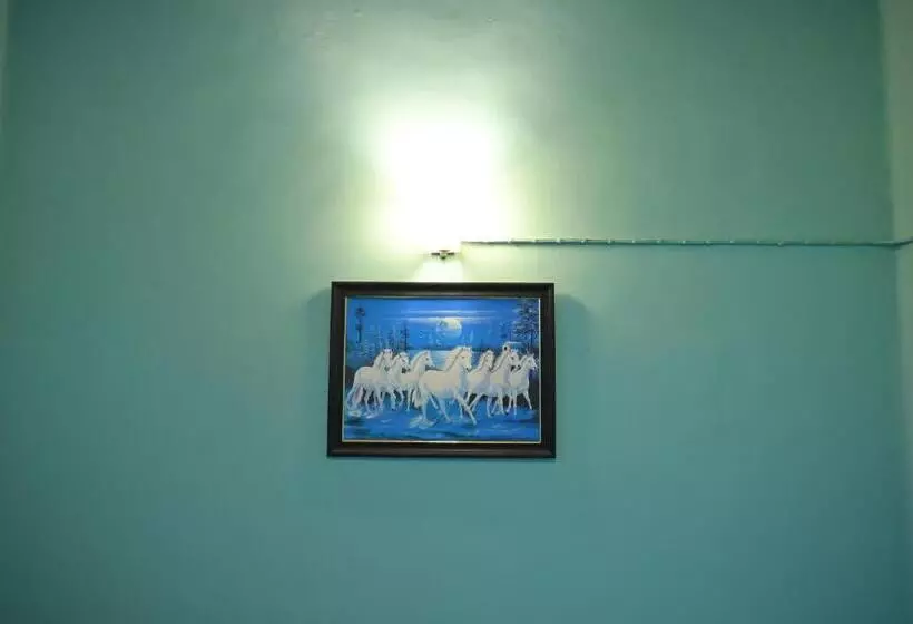 پانسیون Les Boganveillea Heritage Guest House