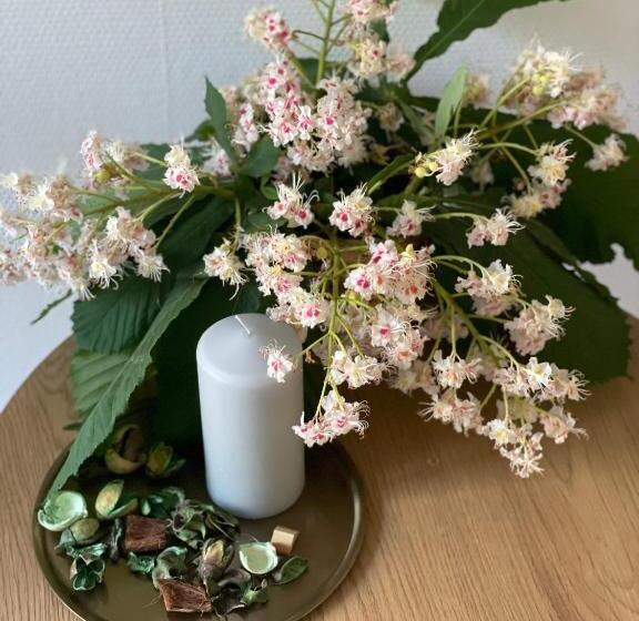 Retkeilymaja хостел житомир Green House