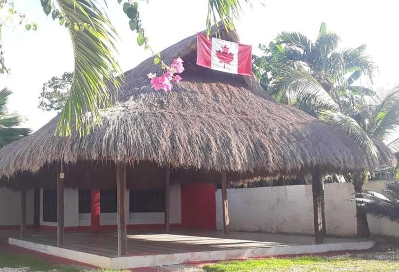 فندق صغير Canadian House Mucura