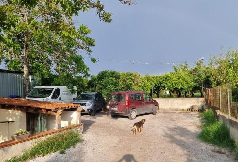 تختخواب و صبحانه Le Colonne Di Cesare