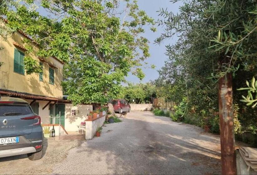 تختخواب و صبحانه Le Colonne Di Cesare