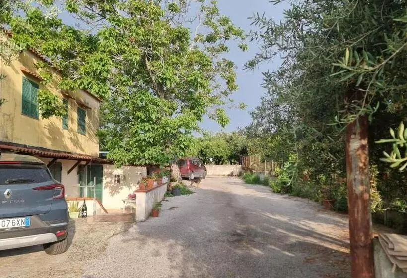 Aamiaismajoitus (B&B) Le Colonne Di Cesare