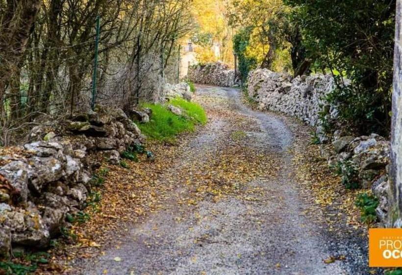 L Atelier De Raymond