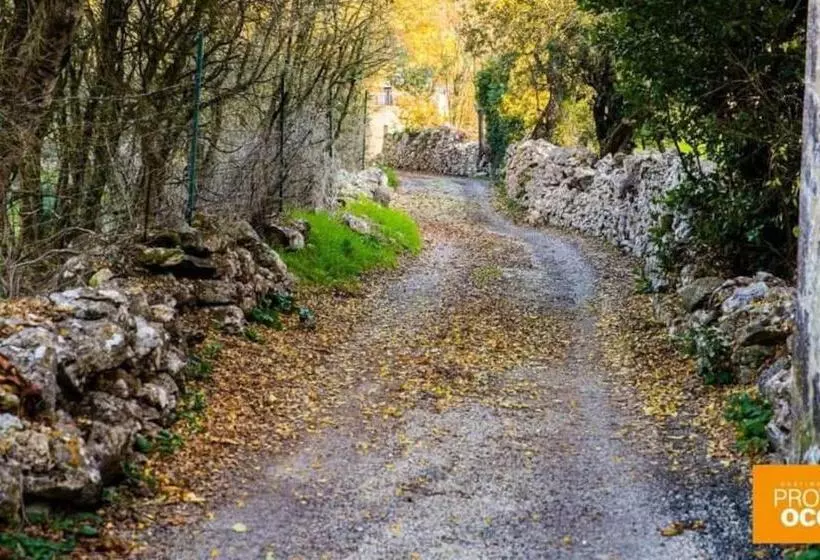 L Atelier De Raymond