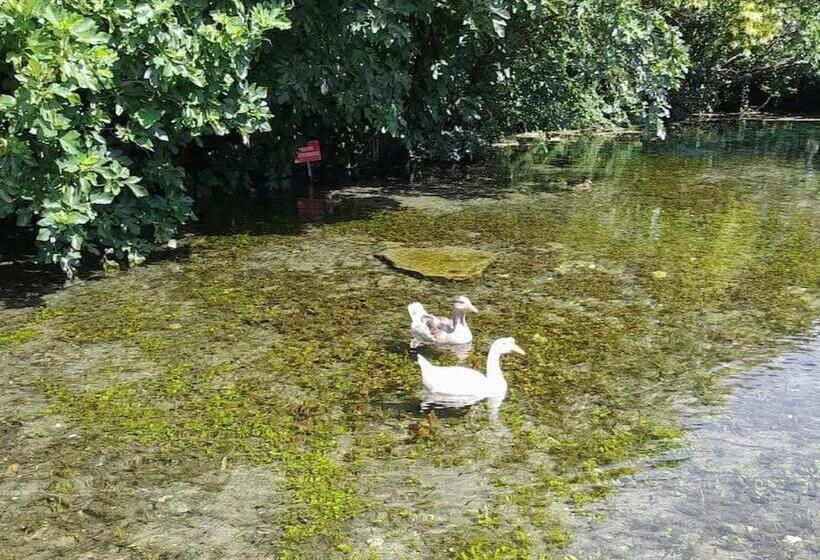 L Atelier De Raymond