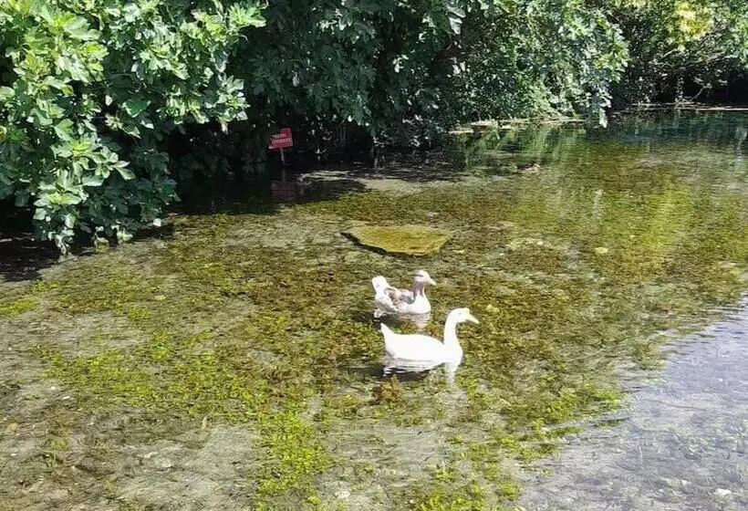 L Atelier De Raymond