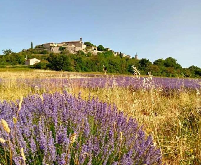 L Atelier De Raymond