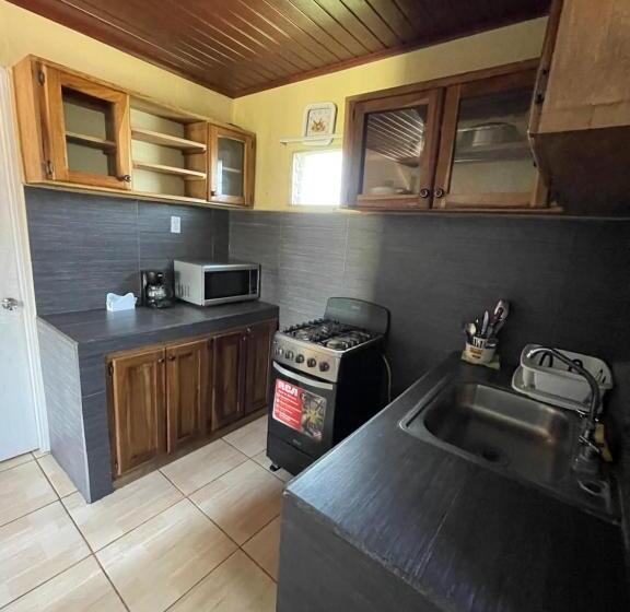 ペンション Cabañas Guadalupe Volcán