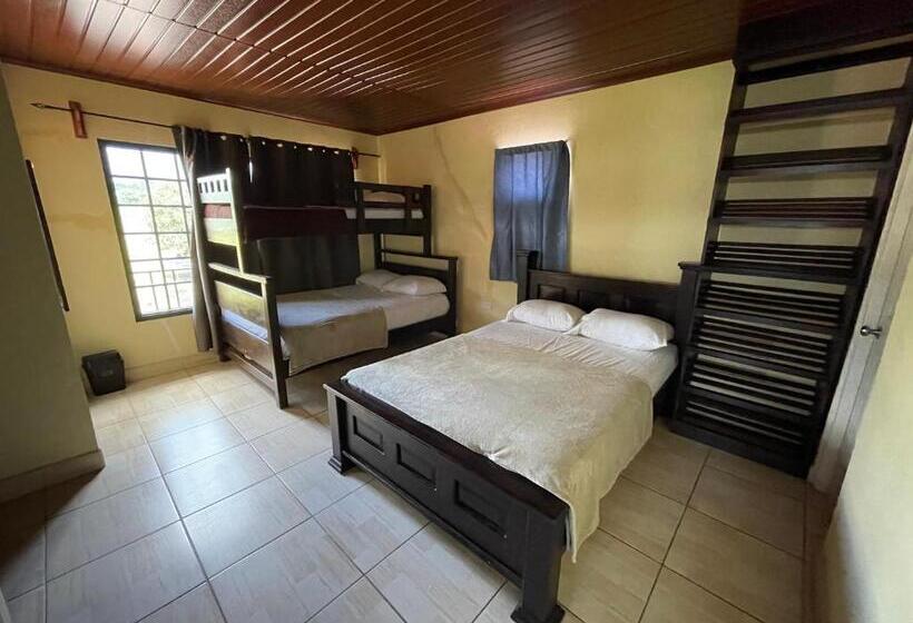 ペンション Cabañas Guadalupe Volcán