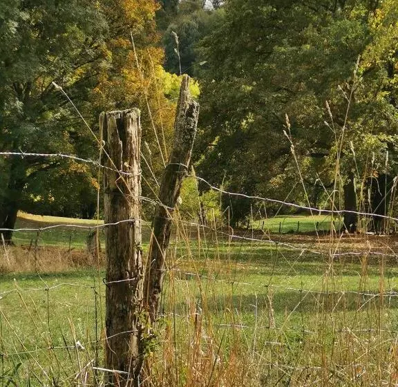 Majatalo Sol De La Dime