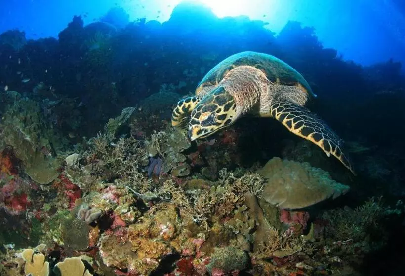 Retkeilymaja Tulomir #c 뚤로미르 행복한 2인실