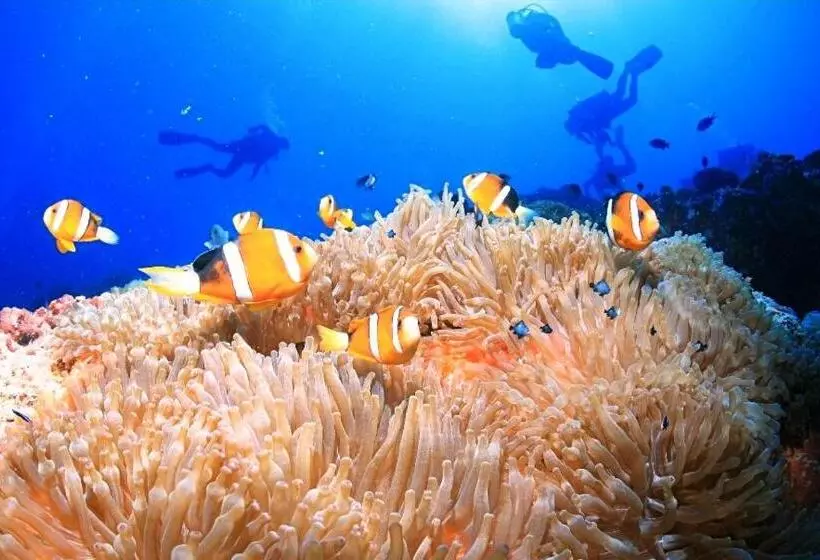 Retkeilymaja Tulomir #c 뚤로미르 행복한 2인실