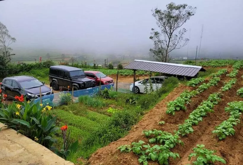 ベッドアンドブレックファースト Shadow Mask Bungalow