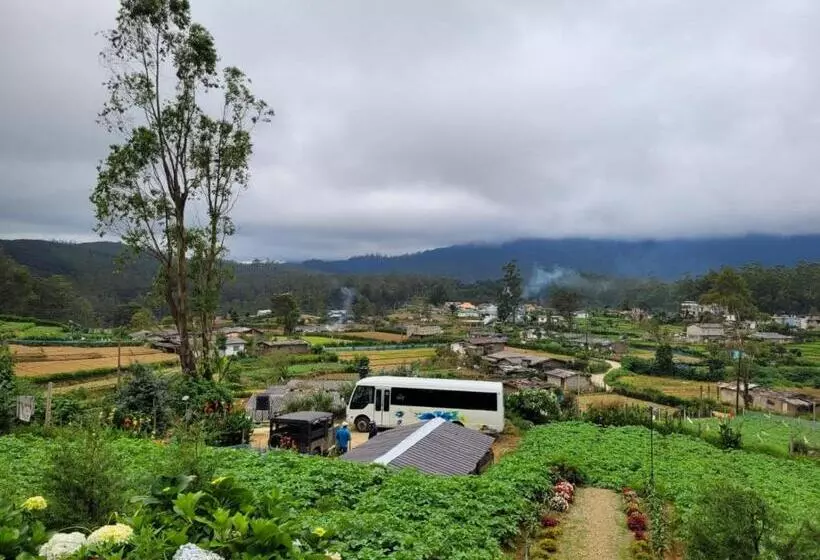 ベッドアンドブレックファースト Shadow Mask Bungalow