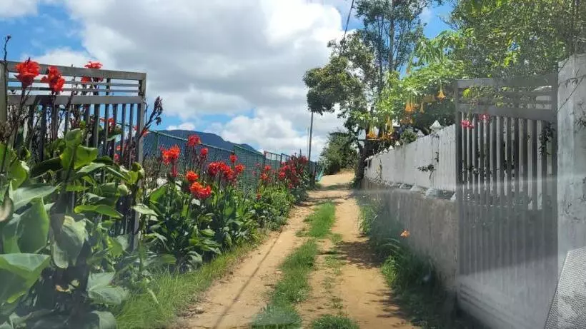 ベッドアンドブレックファースト Shadow Mask Bungalow