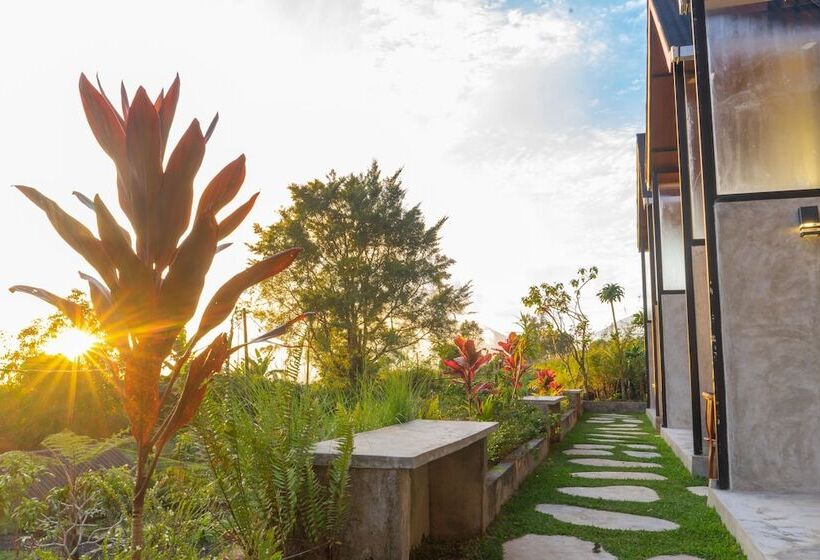 酒店 Mountain Peak Kintamani