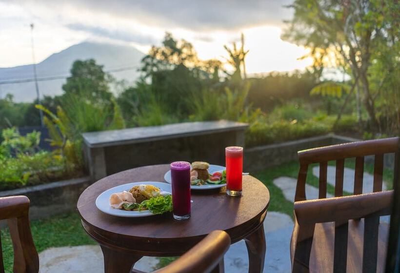 酒店 Mountain Peak Kintamani