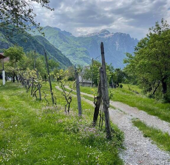 پانسیون Villa Belinis