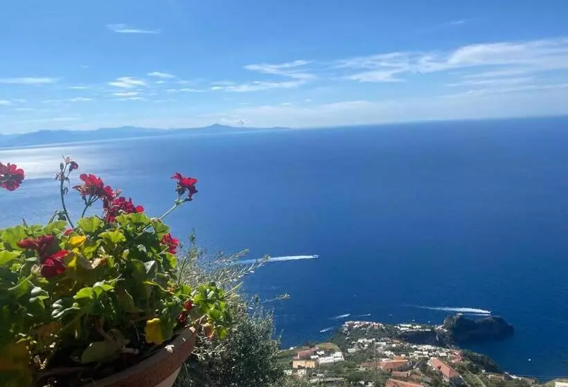 Majatalo Bed&breakfast Miramare