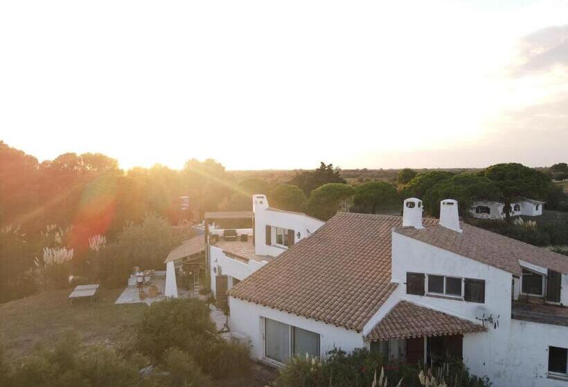 Lou Kif Hostel Votre Auberge En Camargue