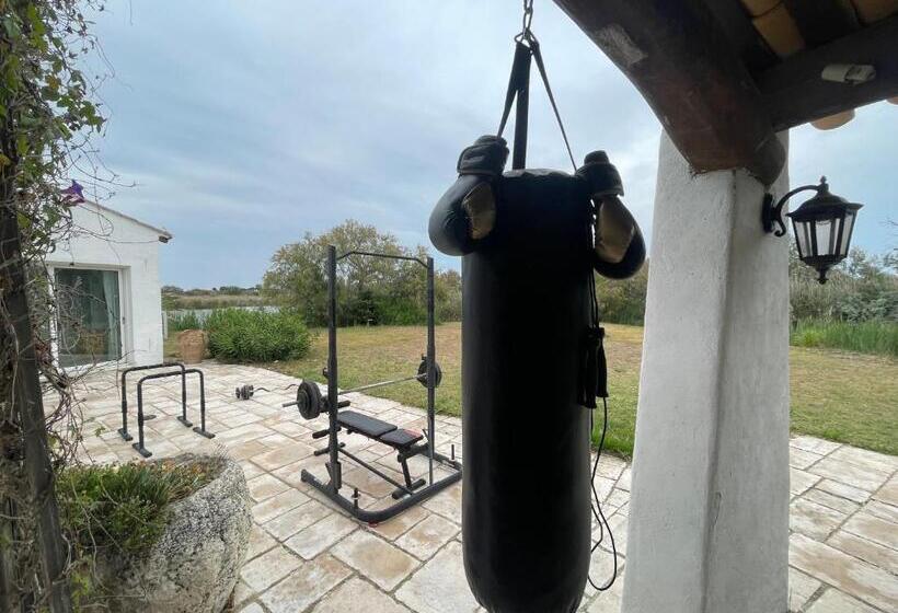 Lou Kif Hostel Votre Auberge En Camargue