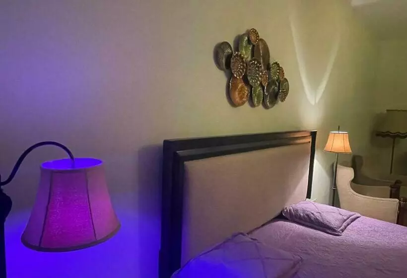 Cozyflat In The Central Arad