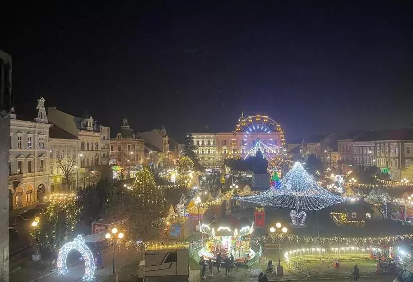Cozyflat In The Central Arad