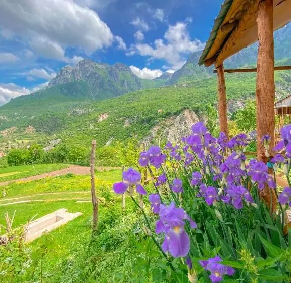 هتل Northern Peaks Guesthouse