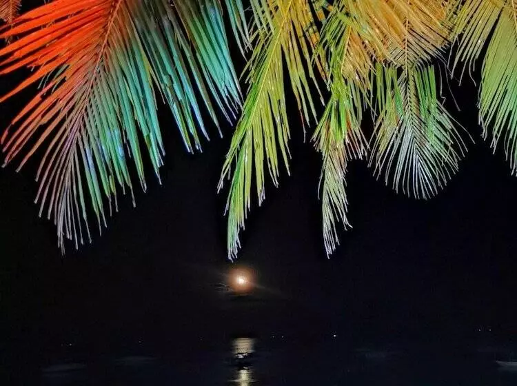 On Board Panglao Beach Hostel & Resort