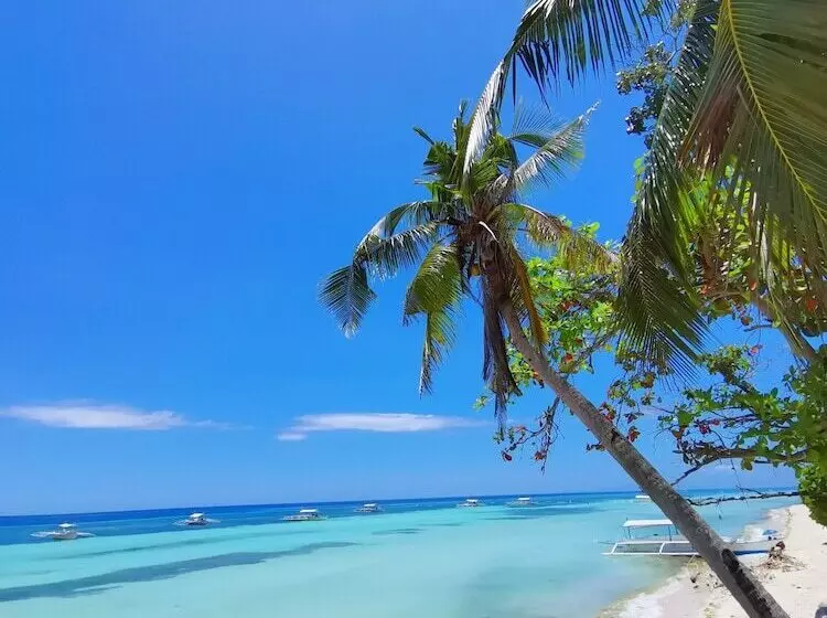 On Board Panglao Beach Hostel & Resort